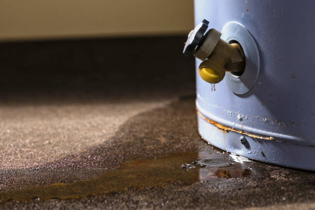 Best 24-hour water damage restoration  in Gila Bend, AZ