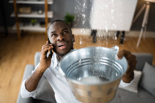 Best Flooded house restoration  in Gila Bend, AZ