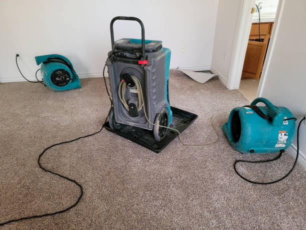 Best Emergency water damage restoration  in Gila Bend, AZ