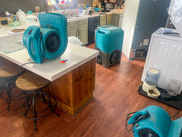 Best Water damage contractors near me  in Gila Bend, AZ
