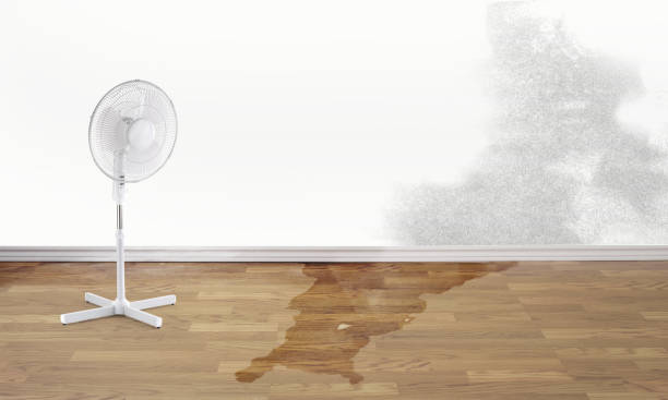 Best Emergency water damage restoration  in Gila Bend, AZ