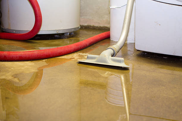 Best Fire Damage Restoration  in Gila Bend, AZ