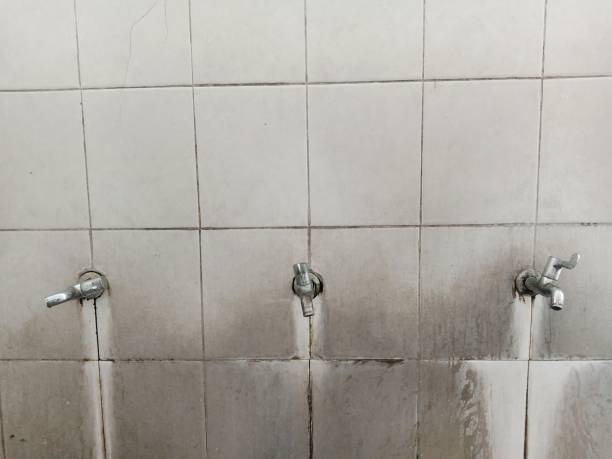 Best Flooded house restoration  in Gila Bend, AZ