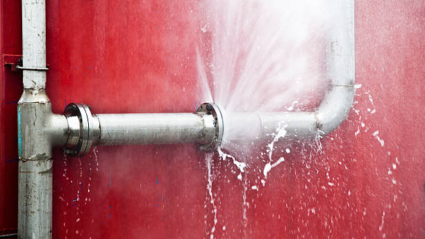 Best Mold removal after water damage  in Gila Bend, AZ