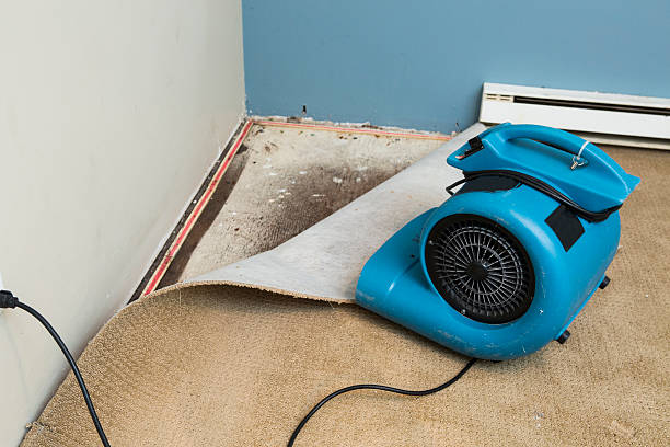 Best Water damage restoration company  in Gila Bend, AZ